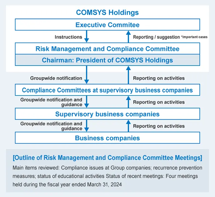 Compliance Promotion Structure