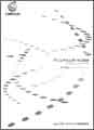 Annual Report 2008 日本語訳